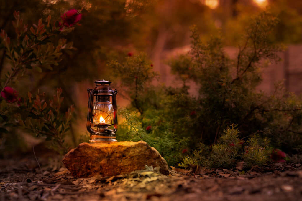 LIGHTING THE WAY
