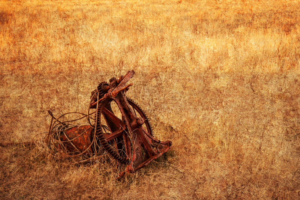 FORGOTTEN