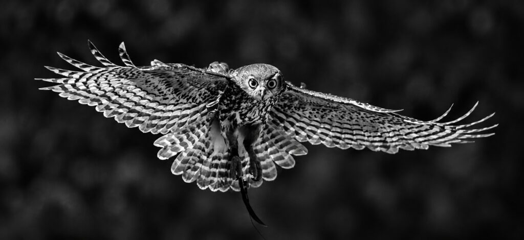 Locked on in flight