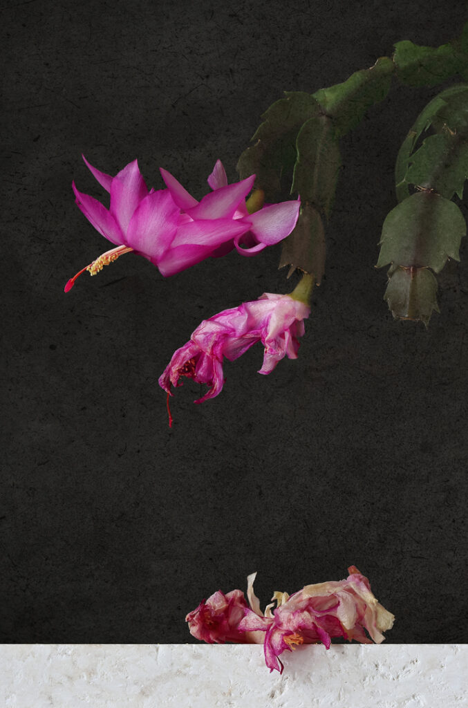 Ephemeral