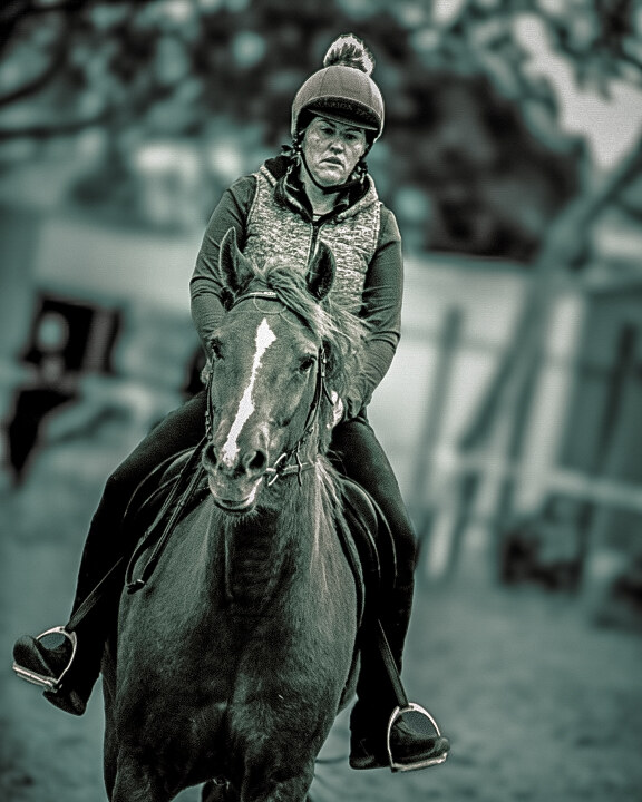 NOVICE RIDER